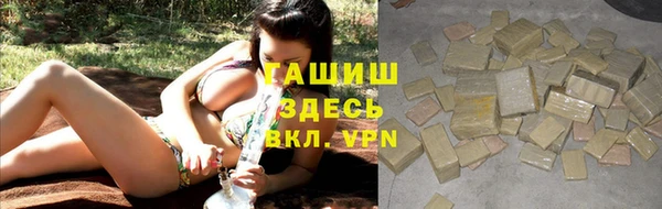 сатива Пересвет