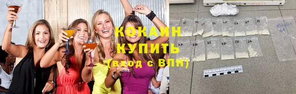 сатива Пересвет