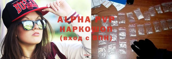 сатива Пересвет