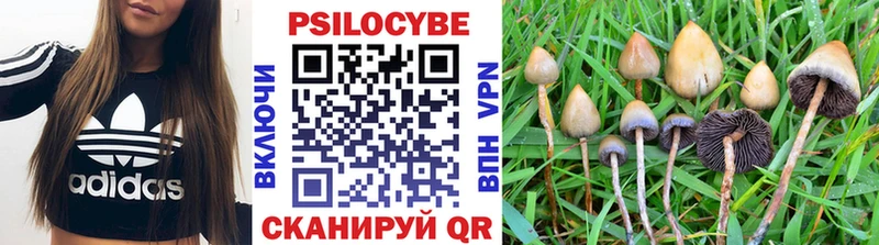 KRAKEN как войти  купить наркоту  Балахна  Псилоцибиновые грибы прущие грибы 