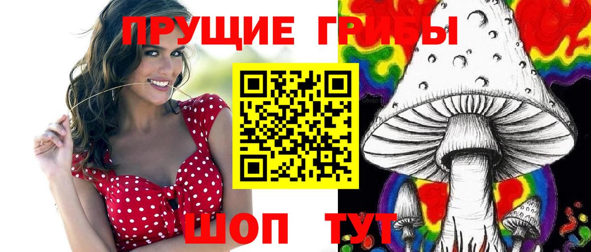 Балахна  купить наркотики сайты  Вход с VPN  Псилоцибиновые грибы Cubensis 
