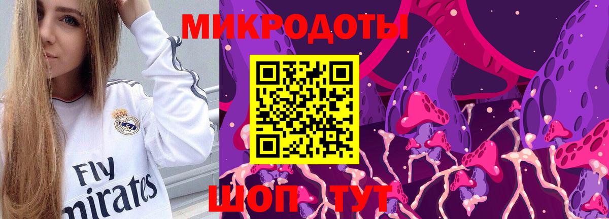 Галлюциногенные грибы прущие грибы  Балахна 